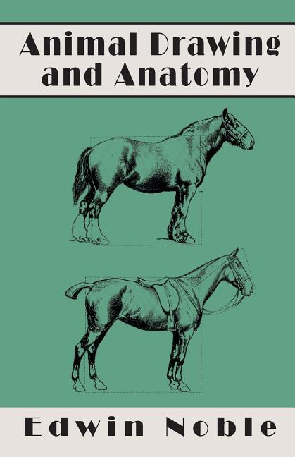Book cover for Animal Drawing and Anatomy