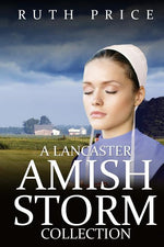 Book cover for Lancaster Amish Storm Collection