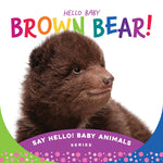 Book cover for Hello Baby Brown Bear!
