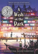 Book cover for A Wish in the Dark