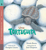 Book cover for Una Tortuguita: Read and Wonder