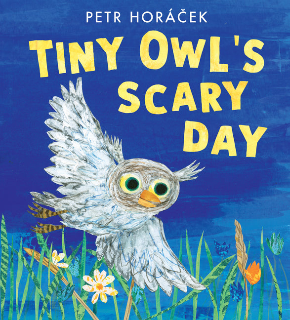 Book cover for Tiny Owl's Scary Day