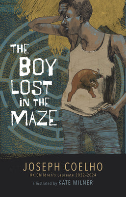 Book cover for The Boy Lost in the Maze