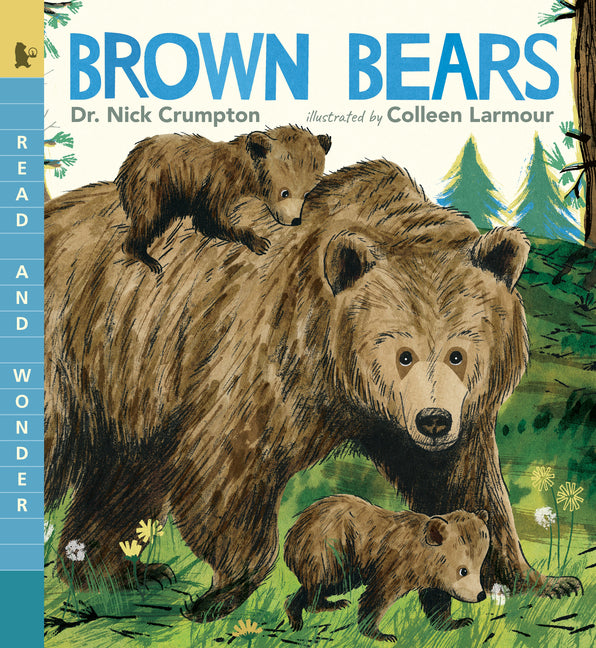 Book cover for Brown Bears