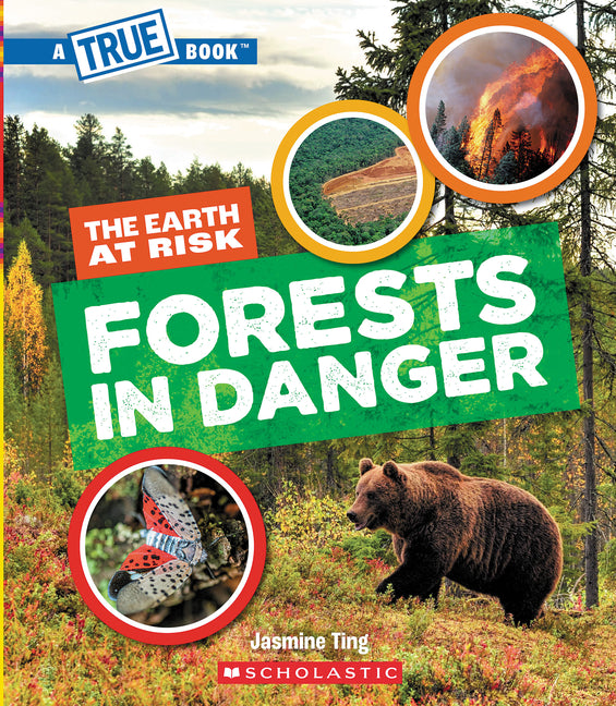 Book cover for Forests in Danger (a True Book: The Earth at Risk)