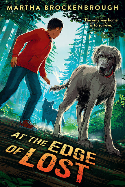 Book cover for At the Edge of Lost