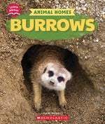 Book cover for Burrows (Learn About: Animal Homes)