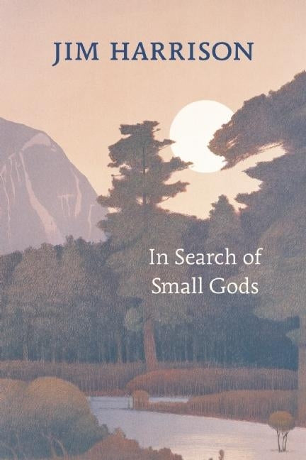 Book cover for In Search of Small Gods