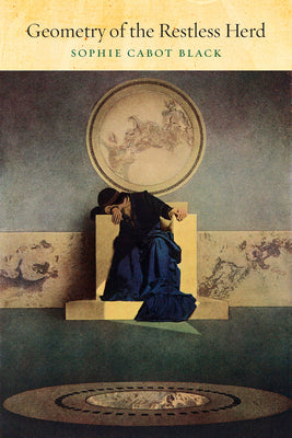 Book cover for Geometry of the Restless Herd