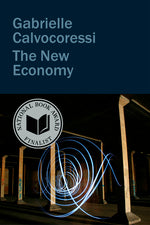Book cover for New Economy