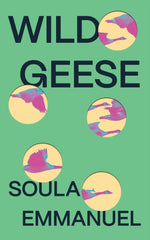 Book cover for Wild Geese