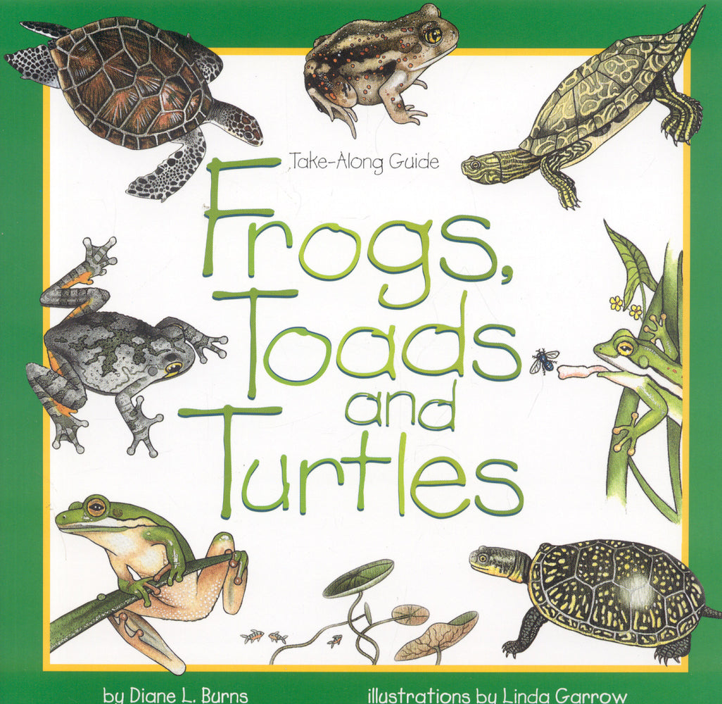 Book cover for Frogs, Toads & Turtles: Take Along Guide