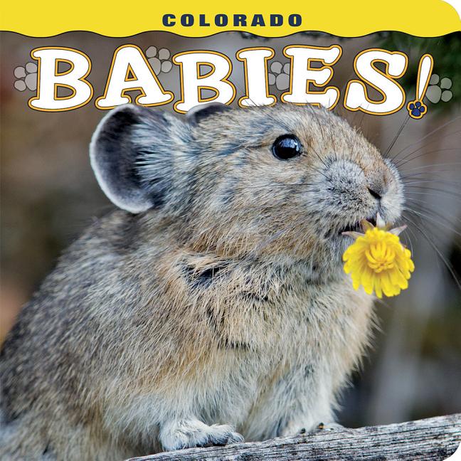 Book cover for Colorado Babies!