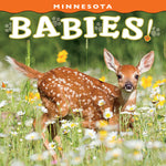 Book cover for Minnesota Babies!