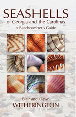 Book cover for Seashells of Georgia and the Carolinas: A Beachcomber's Guide