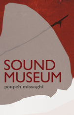 Book cover for Sound Museum