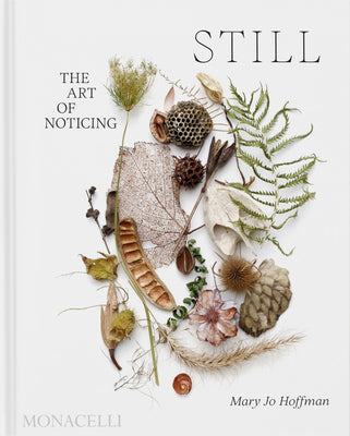 Book cover for Still: The Art of Noticing