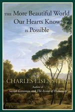 Book cover for The More Beautiful World Our Hearts Know Is Possible