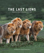 Book cover for Last Lions