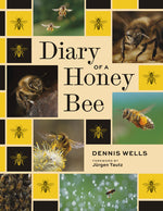 Book cover for Diary of a Honey Bee