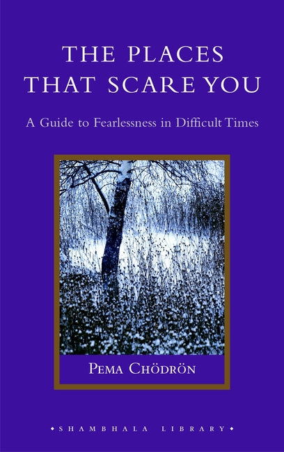 Book cover for The Places That Scare You: A Guide to Fearlessness in Difficult Times