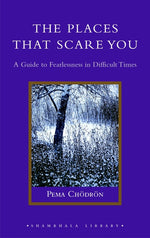 Book cover for The Places That Scare You: A Guide to Fearlessness in Difficult Times