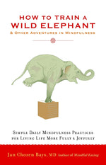 Book cover for How to Train a Wild Elephant: And Other Adventures in Mindfulness