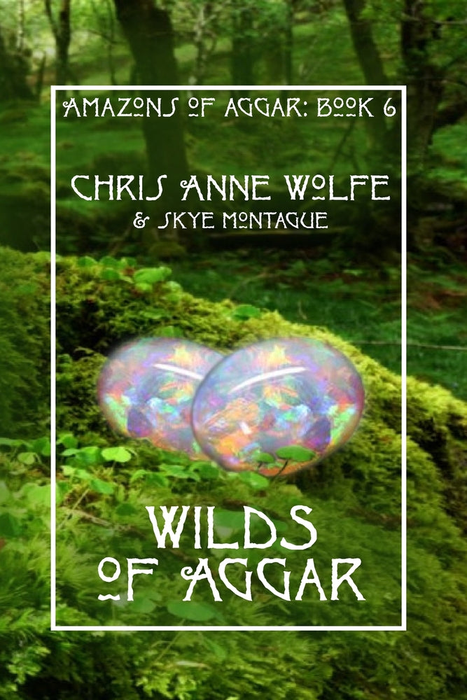 Book cover for Wilds of Aggar