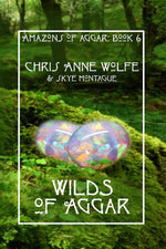 Book cover for Wilds of Aggar