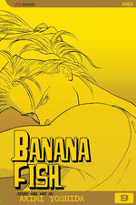 Book cover for Banana Fish, Vol. 9