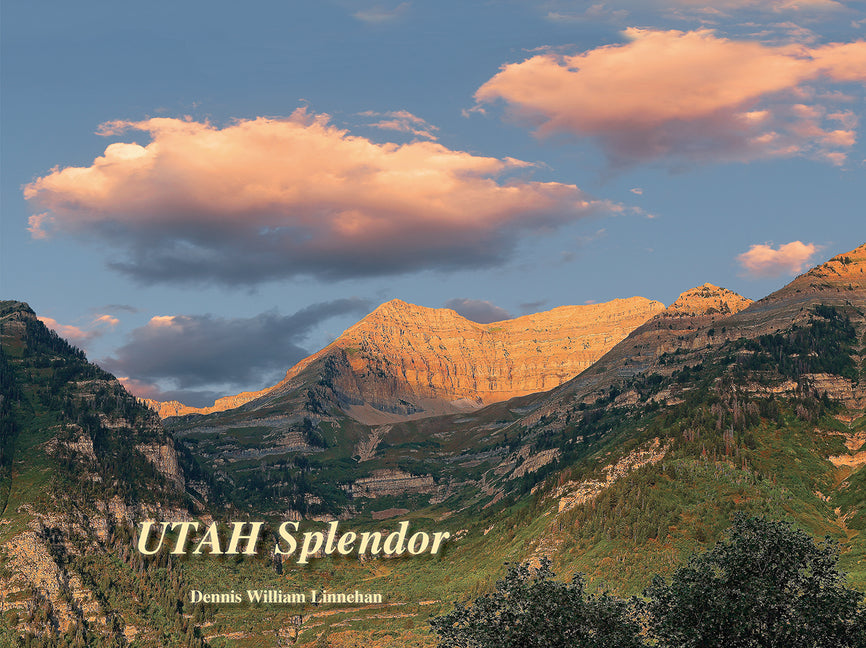Book cover for Utah Splendor