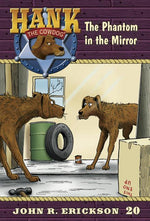 Book cover for The Phantom in the Mirror