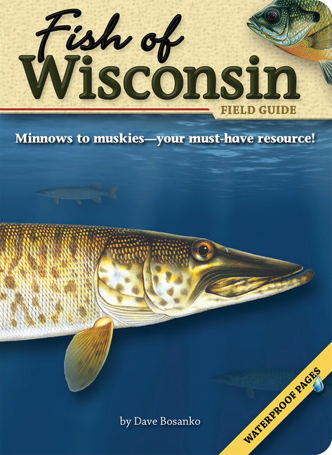 Book cover for Fish of Wisconsin Field Guide
