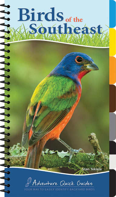 Book cover for Birds of the Southeast: Your Way to Easily Identify Backyard Birds
