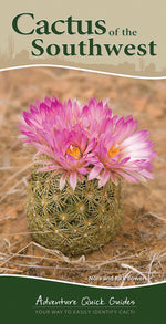 Book cover for Cactus of the Southwest: Your Way to Easily Identify Cacti