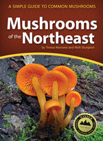 Book cover for Mushrooms of the Northeast: A Simple Guide to Common Mushrooms
