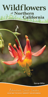 Book cover for Wildflowers of Northern California: Your Way to Easily Identify Wildflowers