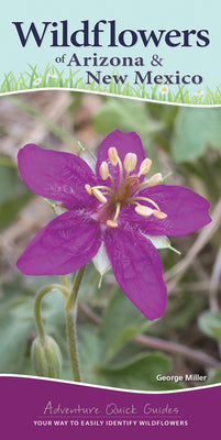 Book cover for Wildflowers of Arizona & New Mexico: Your Way to Easily Identify Wildflowers
