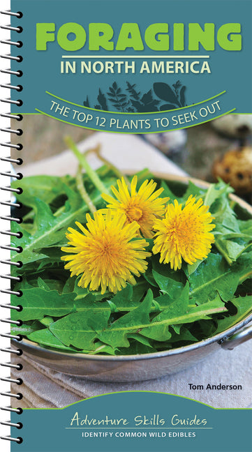 Book cover for Foraging in North America: The Top 12 Plants to Seek Out
