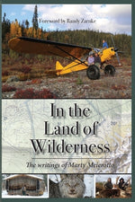 Book cover for In the Land of Wilderness