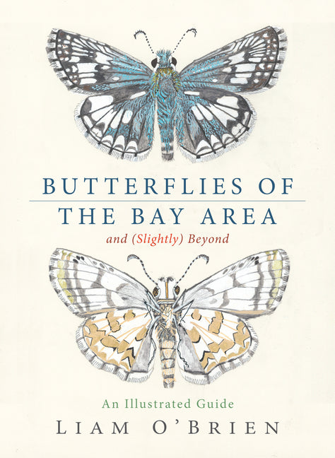Book cover for Butterflies of the Bay Area and (Slightly) Beyond: An Illustrated Guide