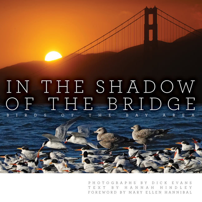 Book cover for In the Shadow of the Bridge: Birds of the Bay Area