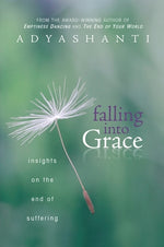 Book cover for Falling Into Grace: Insights on the End of Suffering