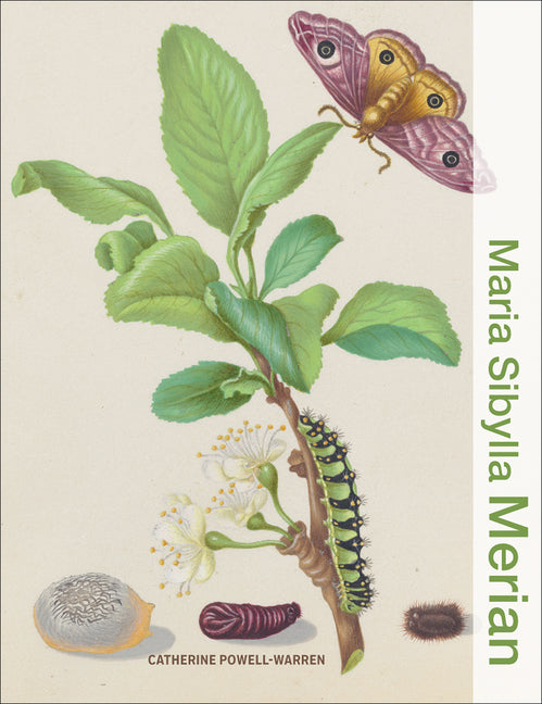 Book cover for Maria Sibylla Merian