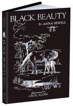 Book cover for Black Beauty