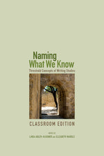 Book cover for Naming What We Know: Threshold Concepts of Writing Studies