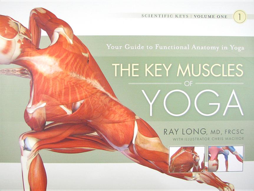 Book cover for The Key Muscles of Yoga