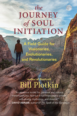 Book cover for The Journey of Soul Initiation: A Field Guide for Visionaries, Evolutionaries, and Revolutionaries