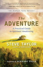 Book cover for The Adventure: A Practical Guide to Spiritual Awakening