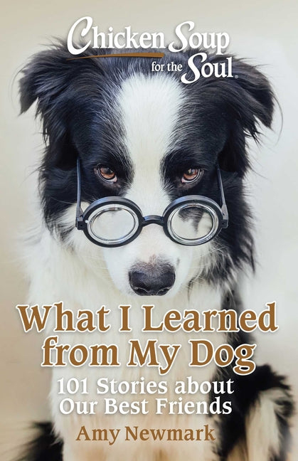 Book cover for Chicken Soup for the Soul: What I Learned from My Dog: 101 Stories about Our Best Friends